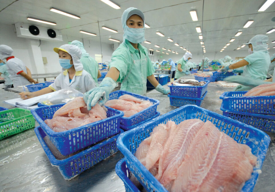 Wave of momentum to float Vietnam's seafood exports to 10–15% growth