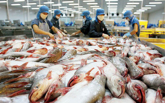 Value-added pangasius exports to the US in 2024 hit highest level in a decade