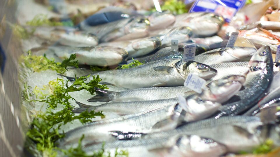 Eat local fish: Nutrients 'lost' to exports could help health and climate