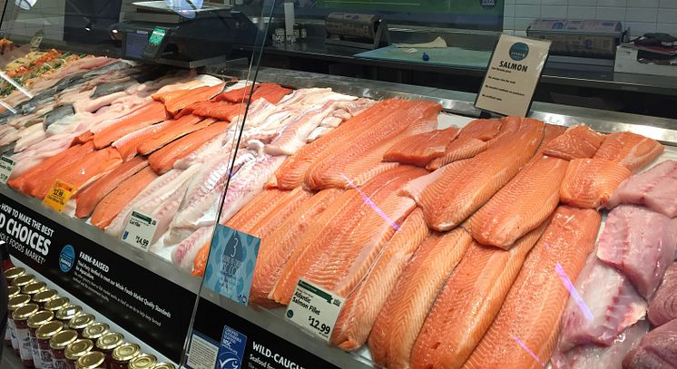 Higher salmon volumes and US growth resulted in record seafood exports in January