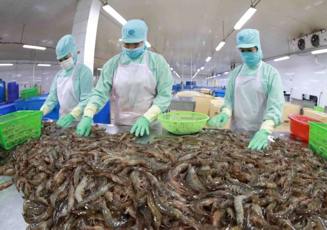 Top 5 destinations for Vietnam’s shrimp exports